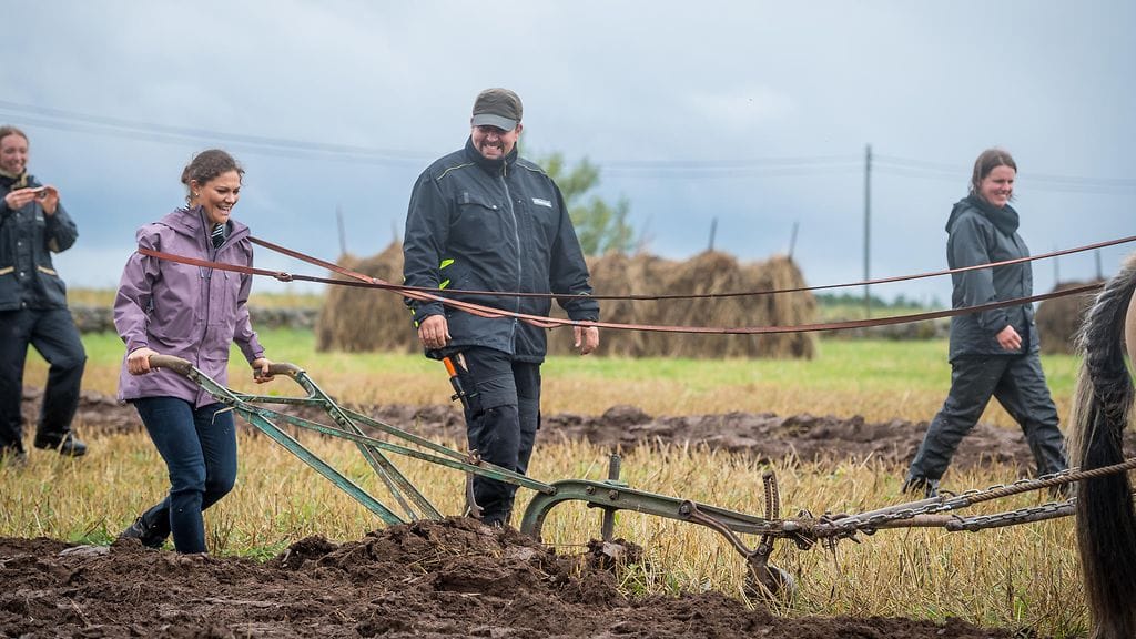 prinsessa Victoria kyntää