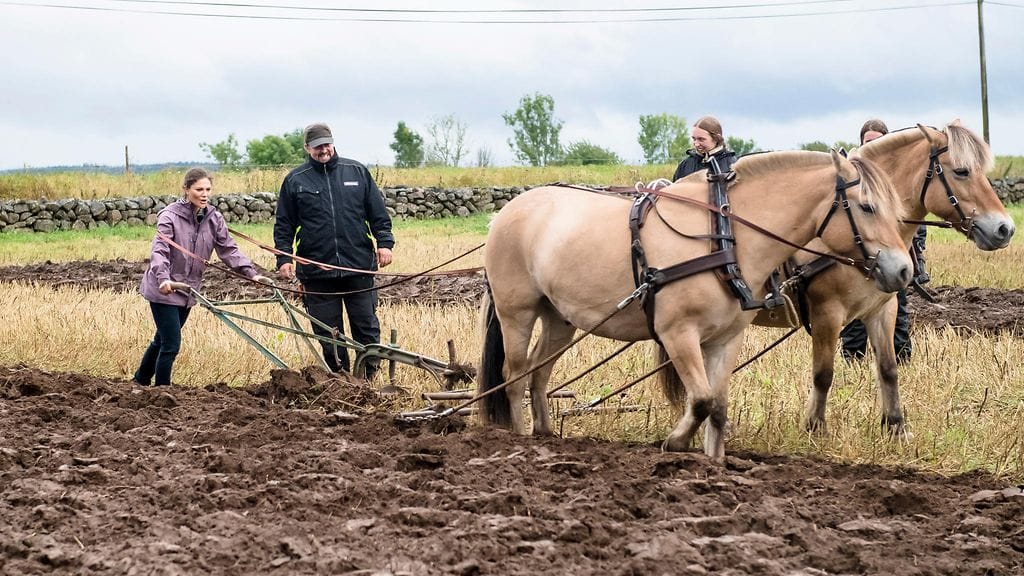 prinsessa Victoria kyntää 2