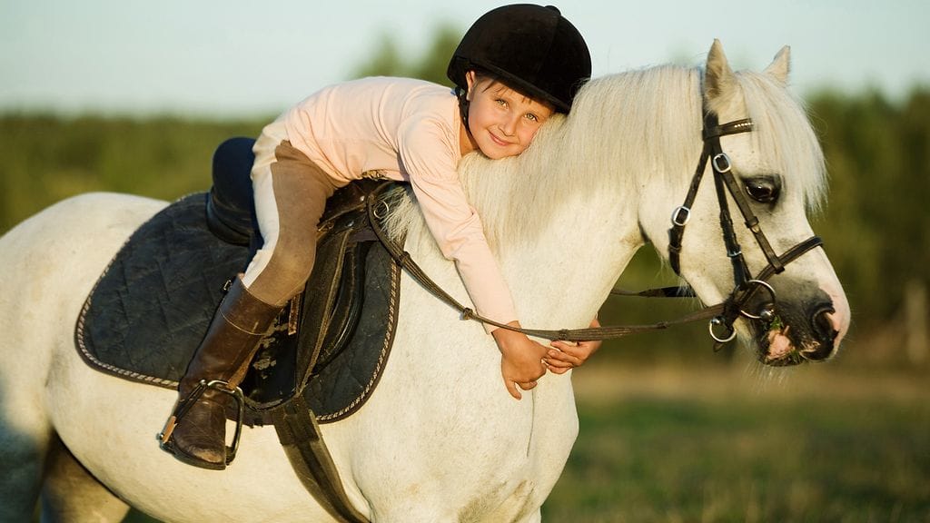 Ratsastus antaa harrastajalleen paljon. Kuvituskuva.