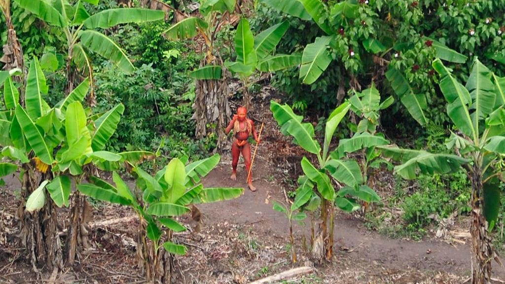 Arkistokuvassa alkuperäiskansaan kuuluva mies Amazonilla. Heimon jäseniä kuvattiin ensimmäistä kertaa aiemmin tänä vuonna. Heimo on sittemmin kadonnut. Huumeiden salakuljettajien epäillään hyökänneen heimon kylään.