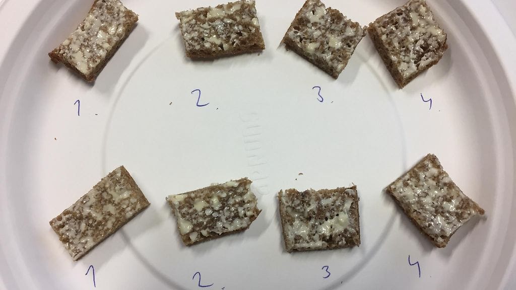 Ruisleivät sokkomakutesti leipä