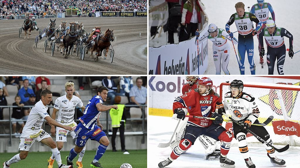 Pelisilmä tarjoaa vetovinkkejä useasta lajista.