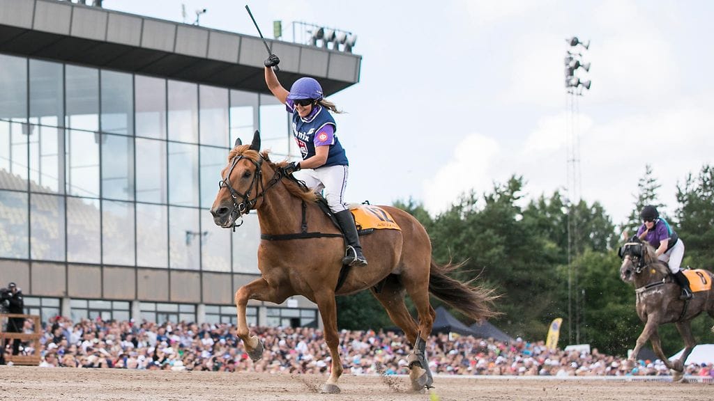 Suomen mestari Diktaattori on ollut montelähdöissä nimensä veroinen. Ruunan vakioratsastaja Karoliina Sinkkilä nauttii Turussa myös aivan uusista kyydeistä.