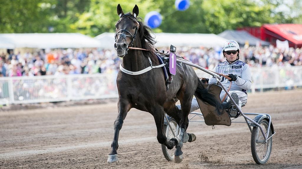 Edlance ja Matias Salo ravit