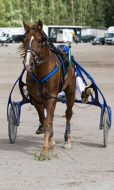 Välähdys ja Ville Korjus