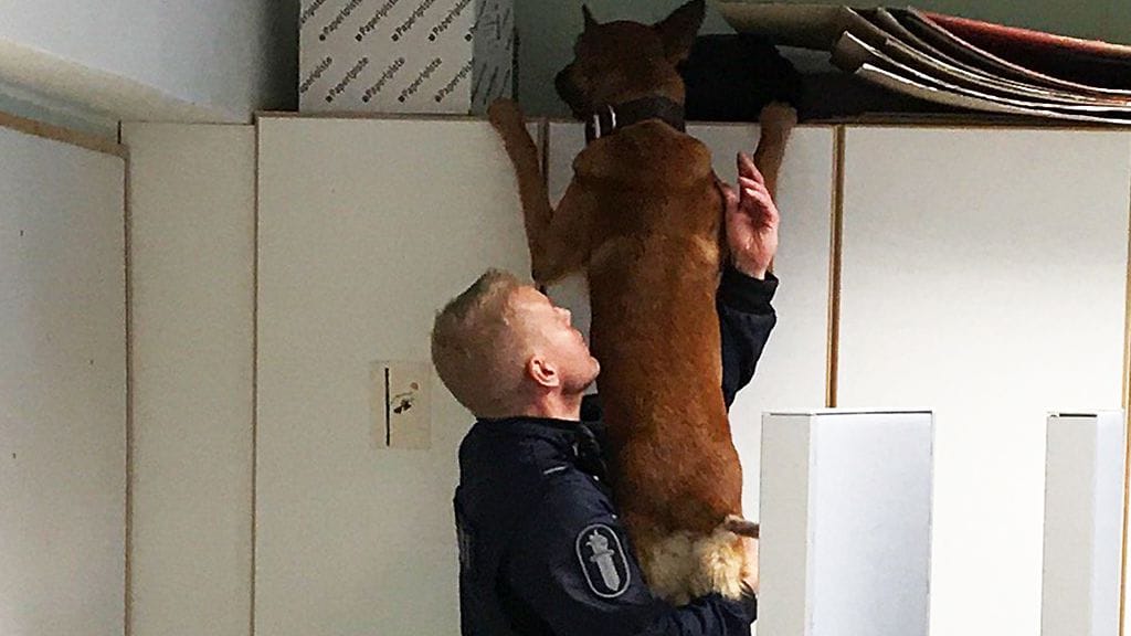 Tässä haistellaan huumeita korkealta. Kuva: Pekka Kokkonen.