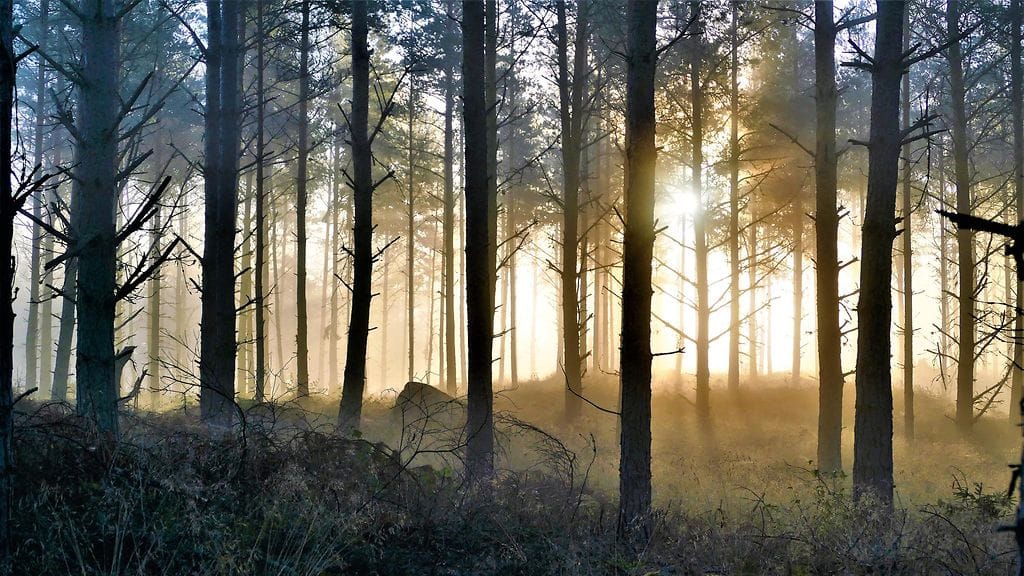 Aamusumua Uudessakaupungissa.