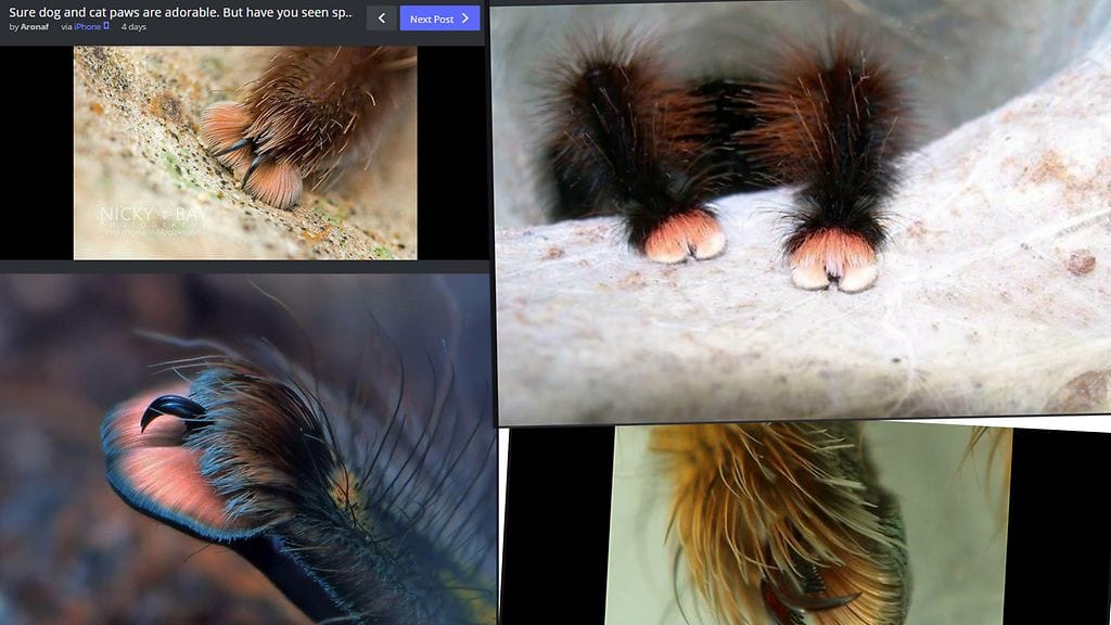 Kuvien lähde Imgur.