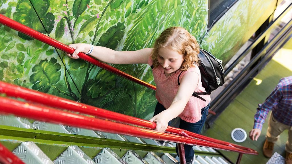 Vekkula. Kuva: Linnanmäki.