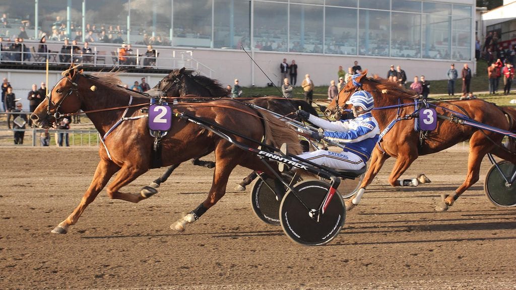 Kuva Villinmiehen Tammakilpailuista vuodelta 2015.