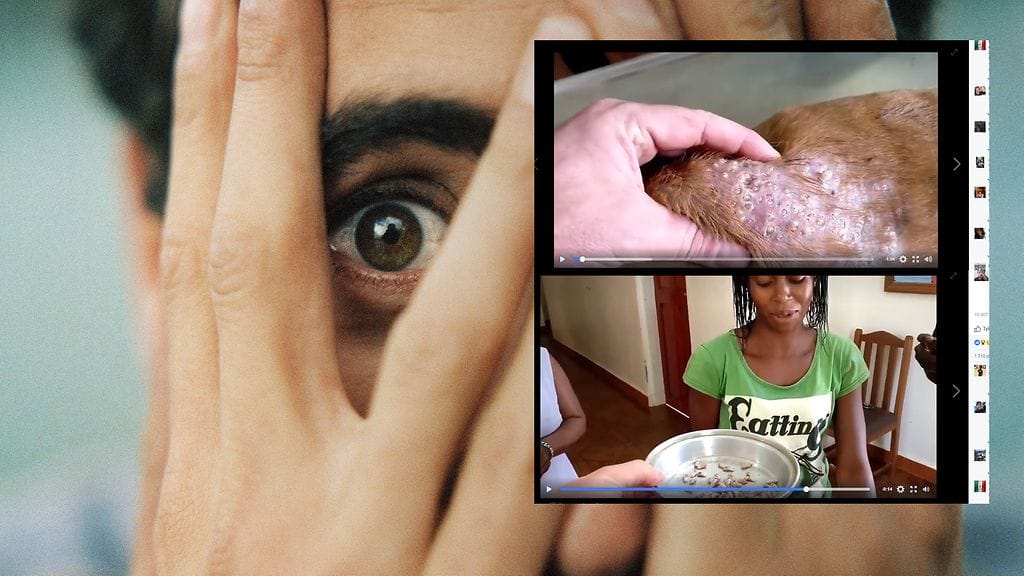 Kuvituskuva Colourbox, toisten kuvien lähde Facebook.