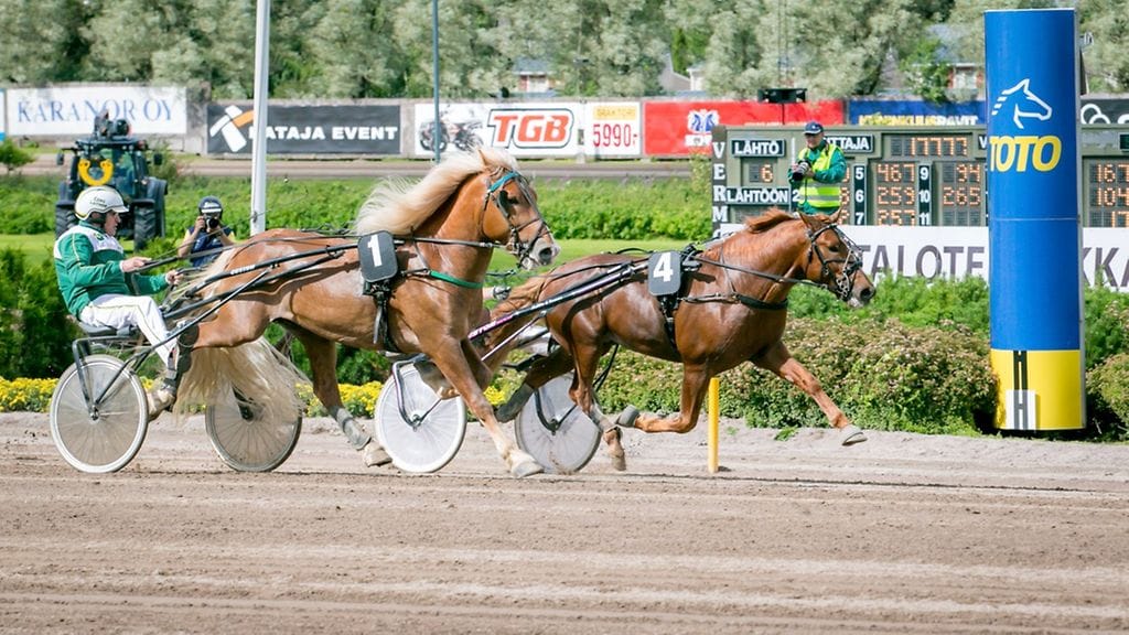 Turelius nappasi arvokkaan kakkossijan Pikkuprinssistä Vermossa.
