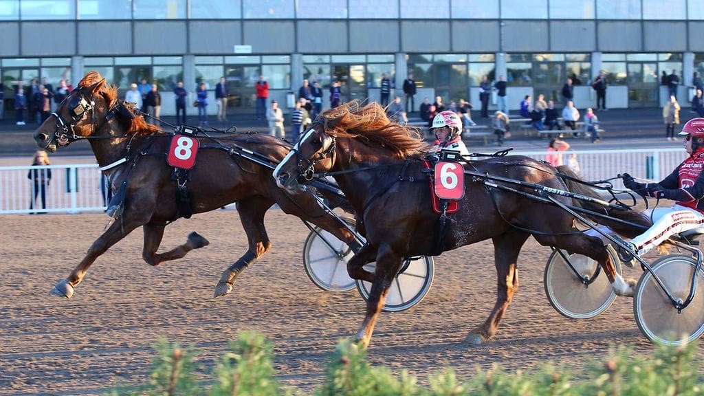 Vinksa (nro 8) kiri Vermossa voittoon koko matkan johtaneesta Täyspiirrosta.