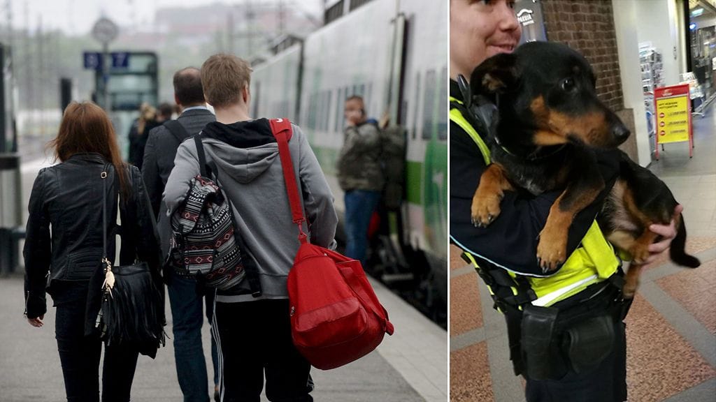 Nelijalkainen junamatkustaja vartijan huomassa. Vasemmalla kuvituskuva.