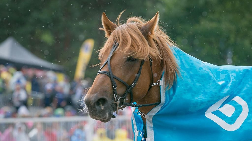 Perimmäinen syy lahjakkaan Caijuksen särkyihin selvisi vihdoin.