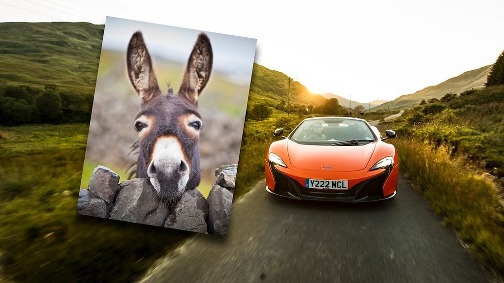 Kuvan auto tai aasi eivät liity juttuun.