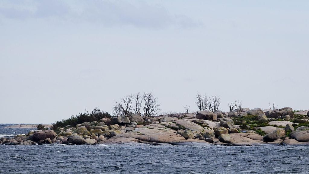 Kuvituskuvaa, kuvan luoto ei liity tapaukseen.