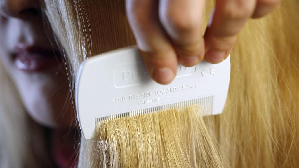 Täikampa on hyvä apu täiden häätöön. Kuvituskuva.