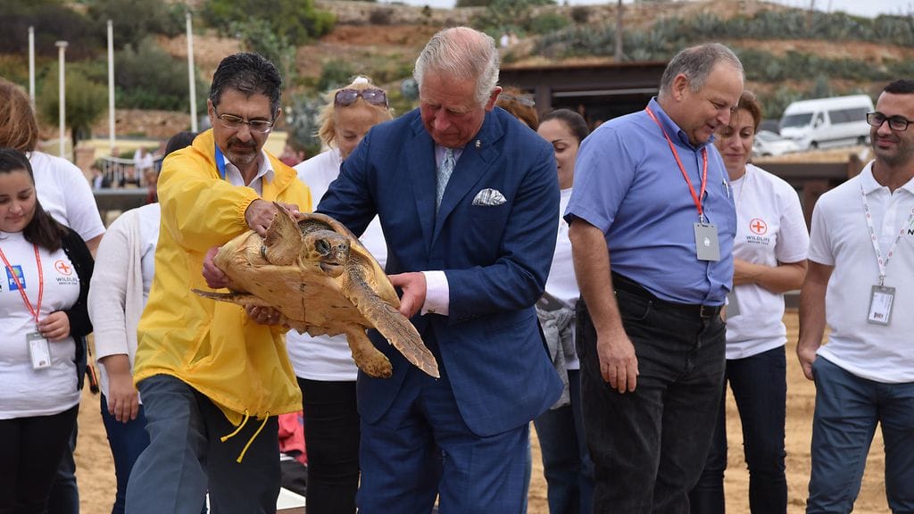 Prinssi Charles vapauttaa kilpparin