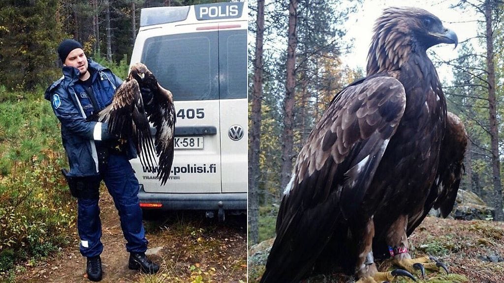 Poliisi tutkii tapahtunutta luonnonsuojelurikoksena.