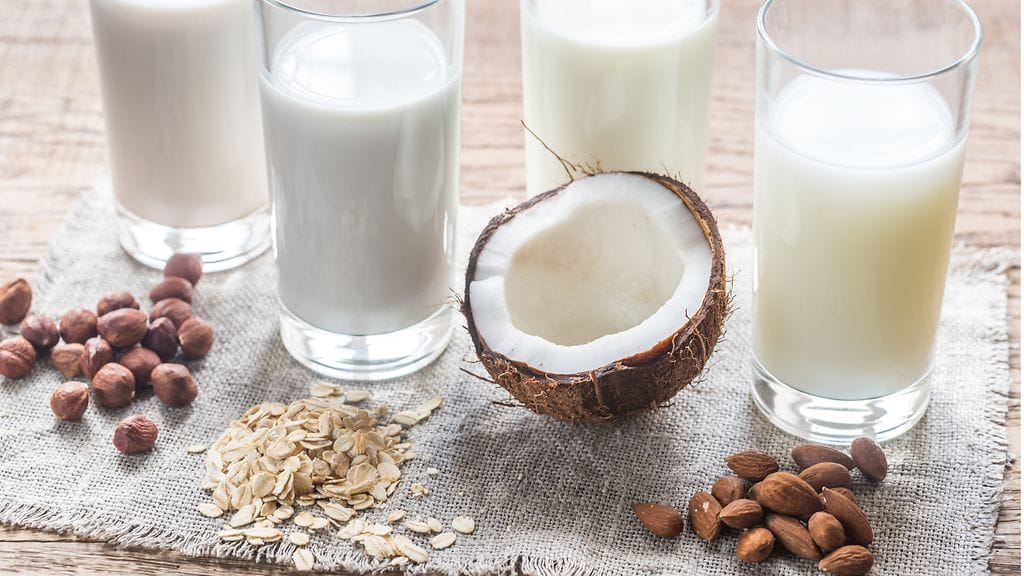 Maidon korvikkeita tehdään niin kookoksesta, pähkinöistä, soijasta kuin kaurasta ja riisistäkin. Kuvituskuva.