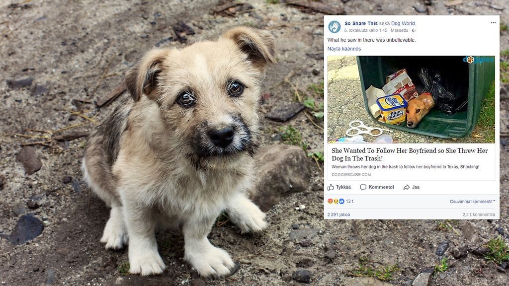 Kuvituskuva Shutterstock, toisen kuvan lähde Facebook.