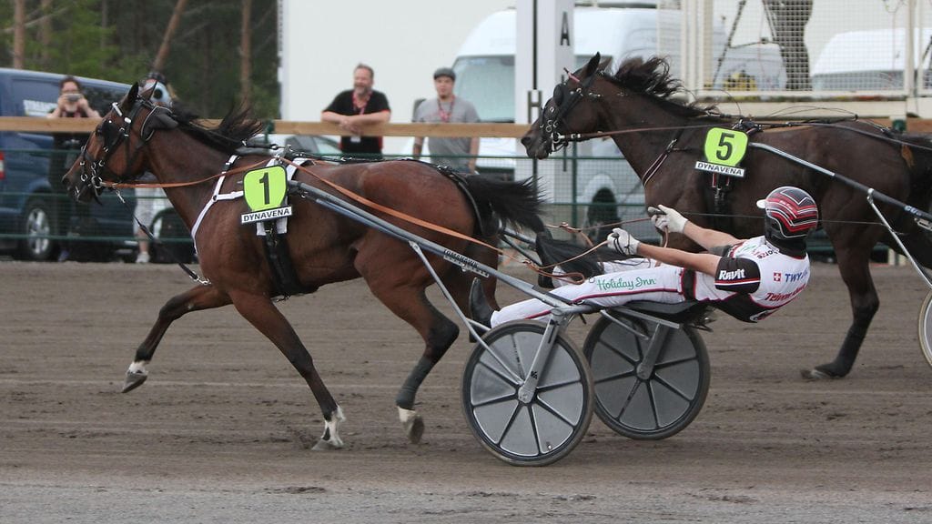 Flight Aprilin vakio-ohjastaja Mika Forss naruttelee myös tamman jäähyväisstartin Tapio Mäki-Tulokkaan tallissa.