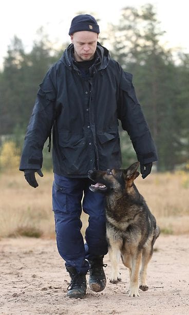 Kreo poliisikoira sm