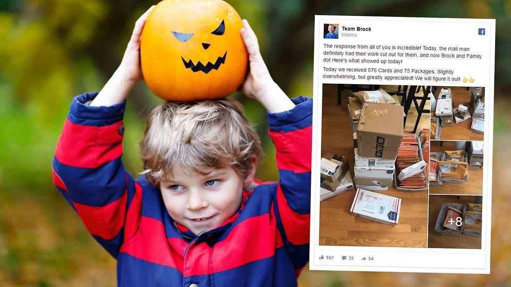 Kuvan lähde Shutterstock, toinen kuva Facebook.