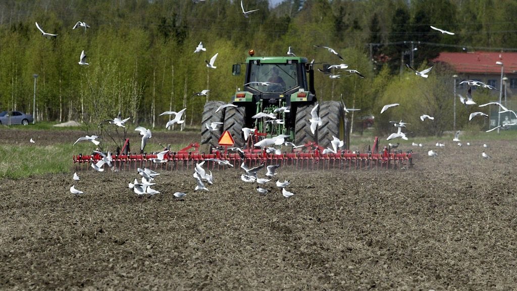 Luonnonvarakeskus Lukesta kerrotaan, että tässä vaiheessa syksyä syyskylvöt olisi jo pitänyt tehdä. Kuvituskuva.