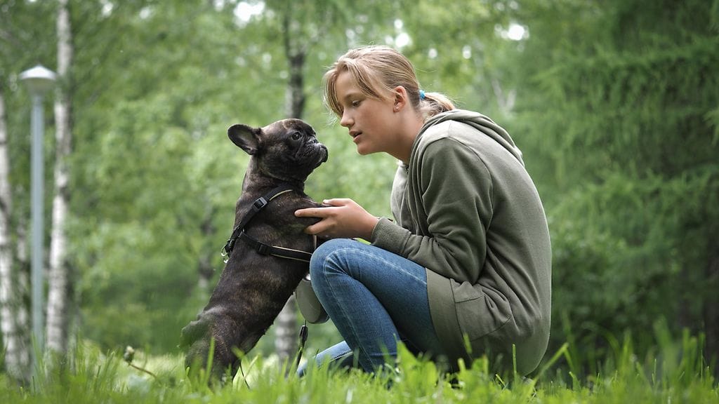 Koiralle jutteleminen voi asiantuntijan mukaan kertoa paljon myös sinusta.