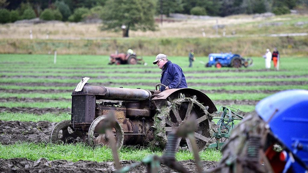 Ahvenanmaalla nautittiin maanantaina poikkeuksellisesta lämmöstä. Kuva lauantaina järjestetyistä veteraanitraktorikisoista.