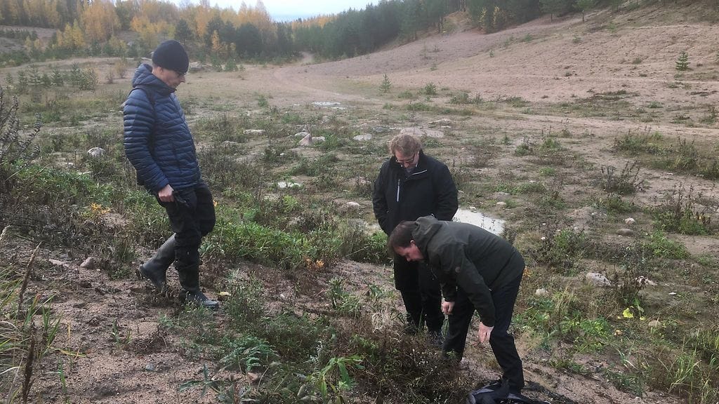 Sorakuoppa, suojelualue, Hausjärvi, hyönteiset