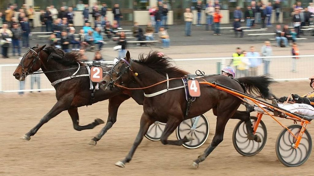 I'm Just A Sund (nro 2) käänsi pronssidivisioonakarsinnan syyskuussa Vermossa niukasti edukseen Edlancen (nro 4) jäädessä toiseksi.