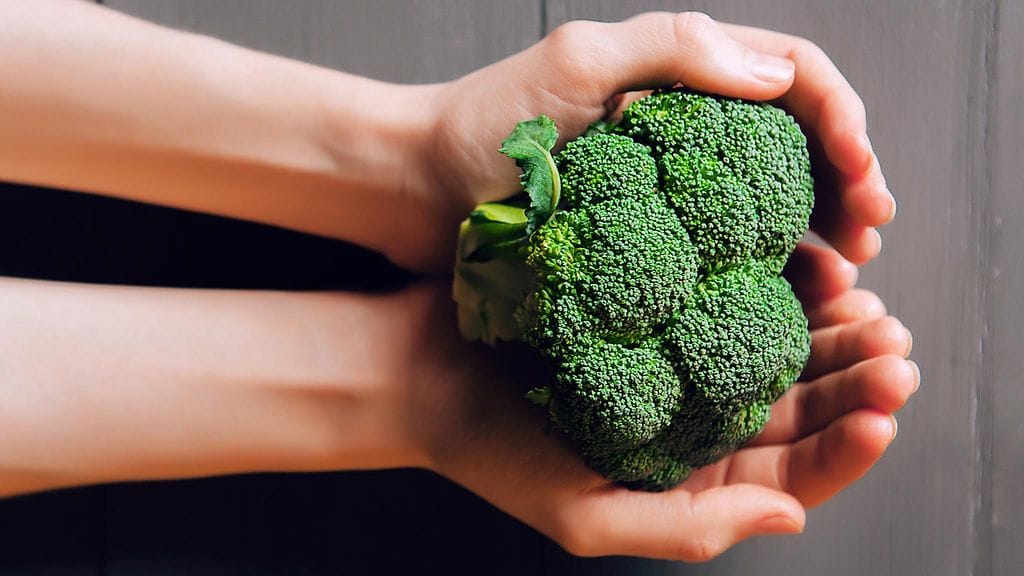 Purkkisäilytys ei varsinaisesti hellisi parsakaalia.