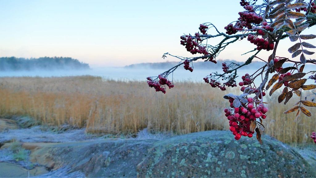 keijo_väänänen2017.10.21Uudessakaupungissa