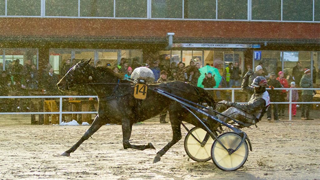 Mika Forssilla oli aikaa tuulettaa Venicen kyydillä St. Legerin voittoa.