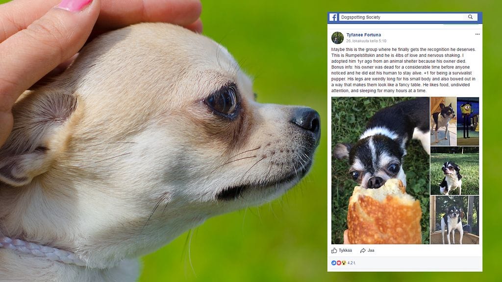 Kuvituskuva Colourbox, toisen kuvan lähde Facebook.