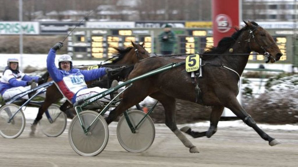 Veli-Matti Kangasluoma voitti uransa ensimmäisen Amatööriohjastajien Suomen mestaruuden. Kuvituskuva.