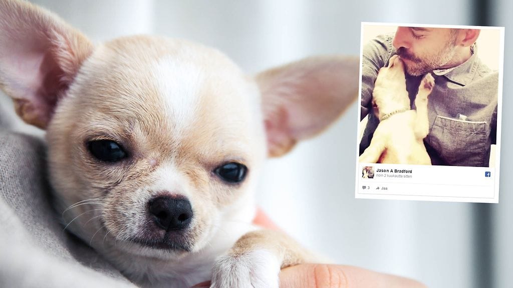 Koira on antanut miehelle enemmän, kuin hän olisi koskaan osannut aavistaa.