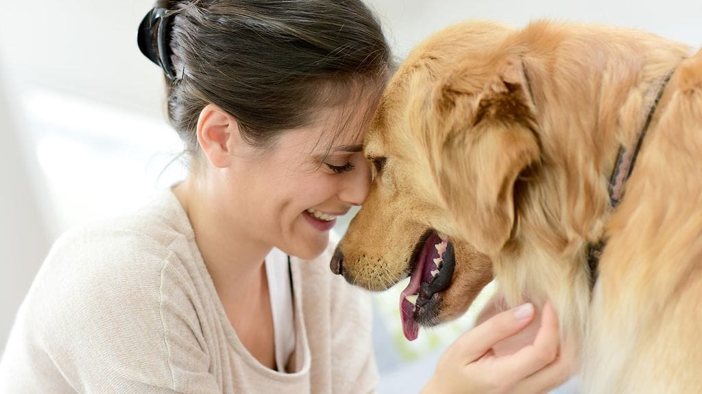 Ihmisen ja koiran suhde on ainutlaatuinen.