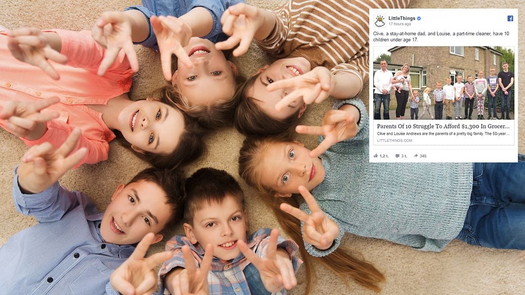 Osa perheen lapsista nauttii jatkuvasta seurasta, osan mielestä sisarukset saisivat jo riittää.