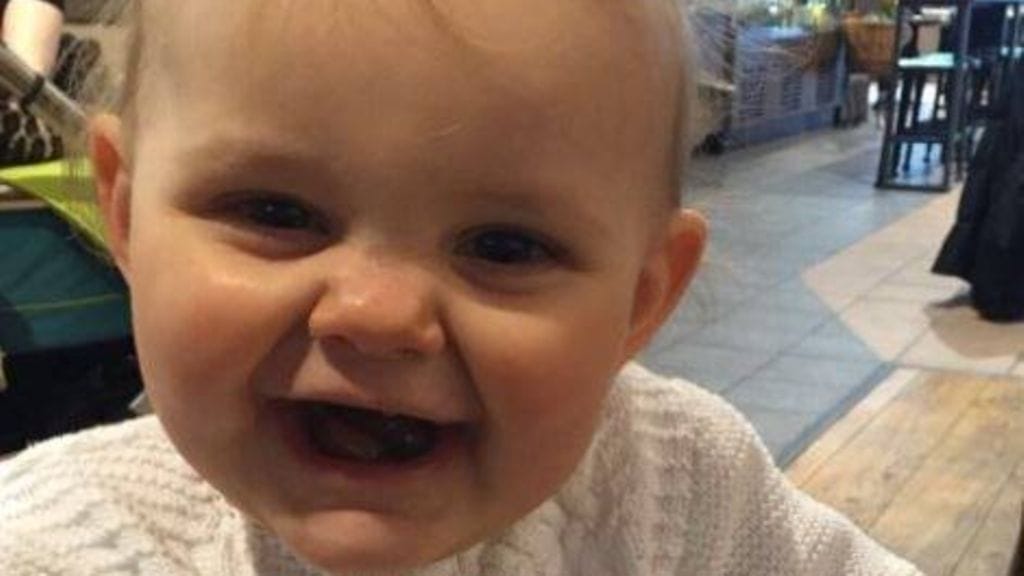 Walesin poliisi on julkaissut Elsien kuvan Facebook-sivuillaan.