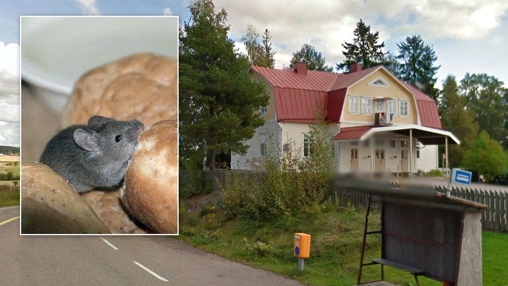 Päiväkoti suljettiin epähygieenisten tilojen vuoksi äkillisesti.