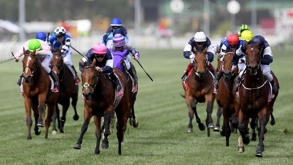 Kuvituskuva. Kuvan hevoset ja ratsastajat eivät liity tapaukseen.