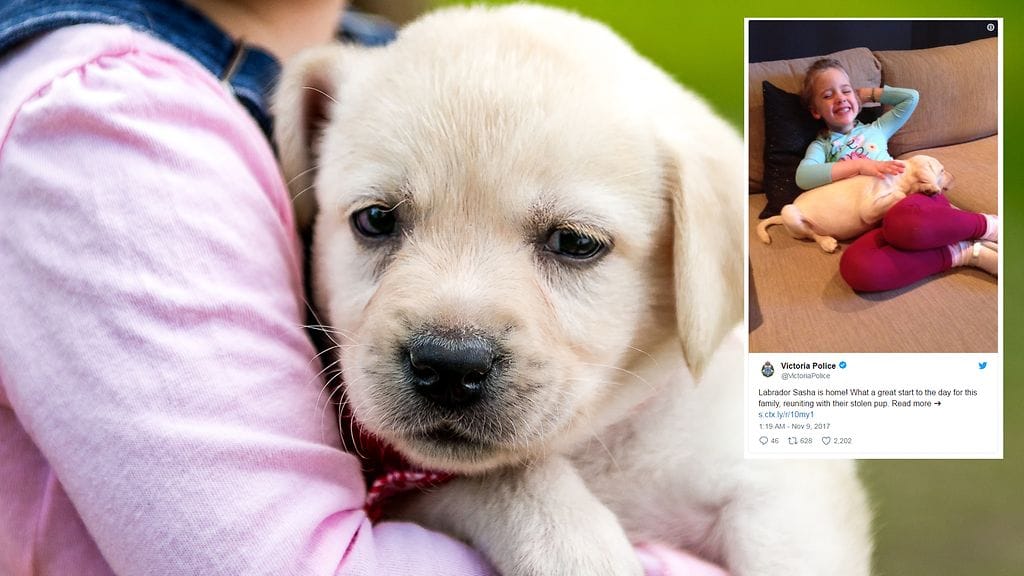 Kuvan lähde Shutterstock, toinen kuva Twitter