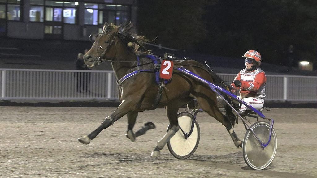 Terri Lehtonen Vermossa lokakuussa.