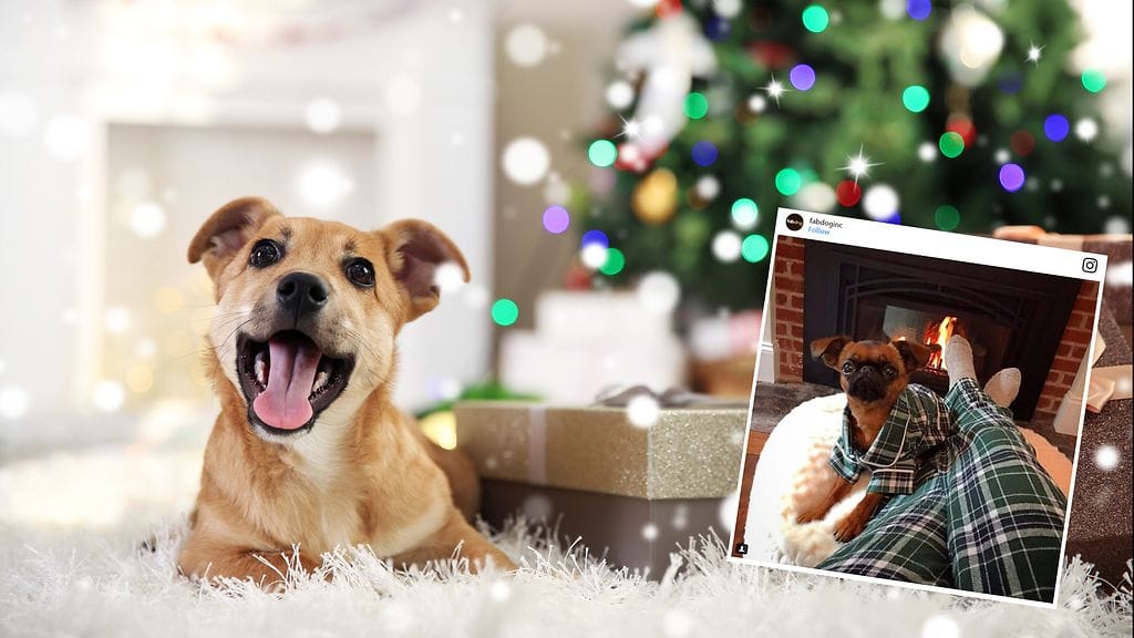 Kuvan lähde Shutterstock, toinen kuva Instagram.