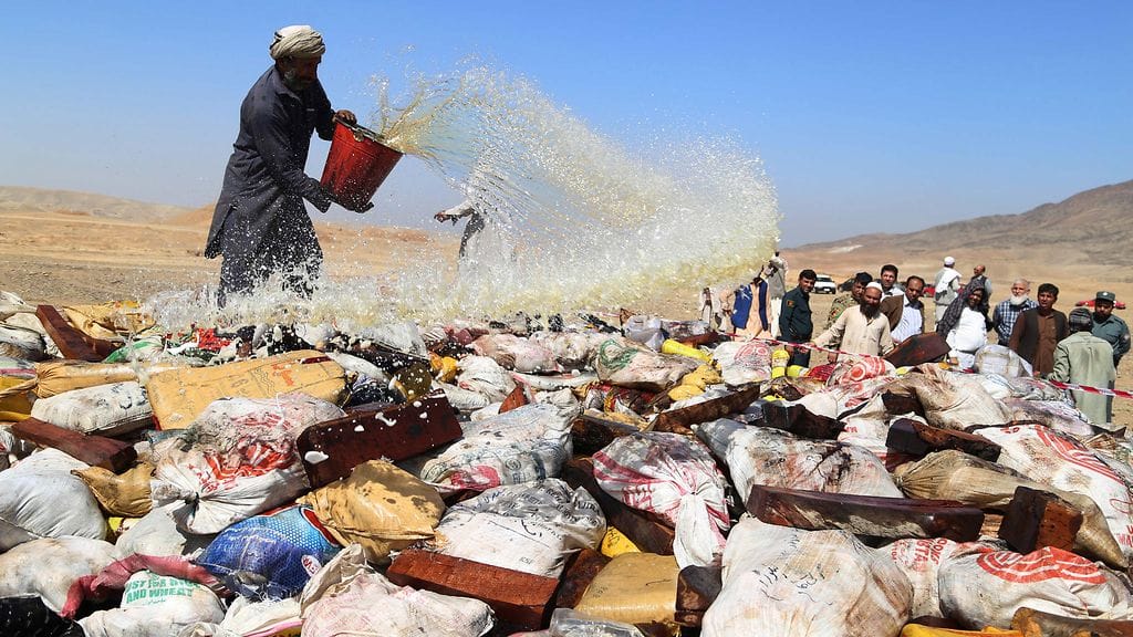 Afgaaniviranomaiset tuhosivat oopiumituotteita Jalalabadissa syyskuussa.