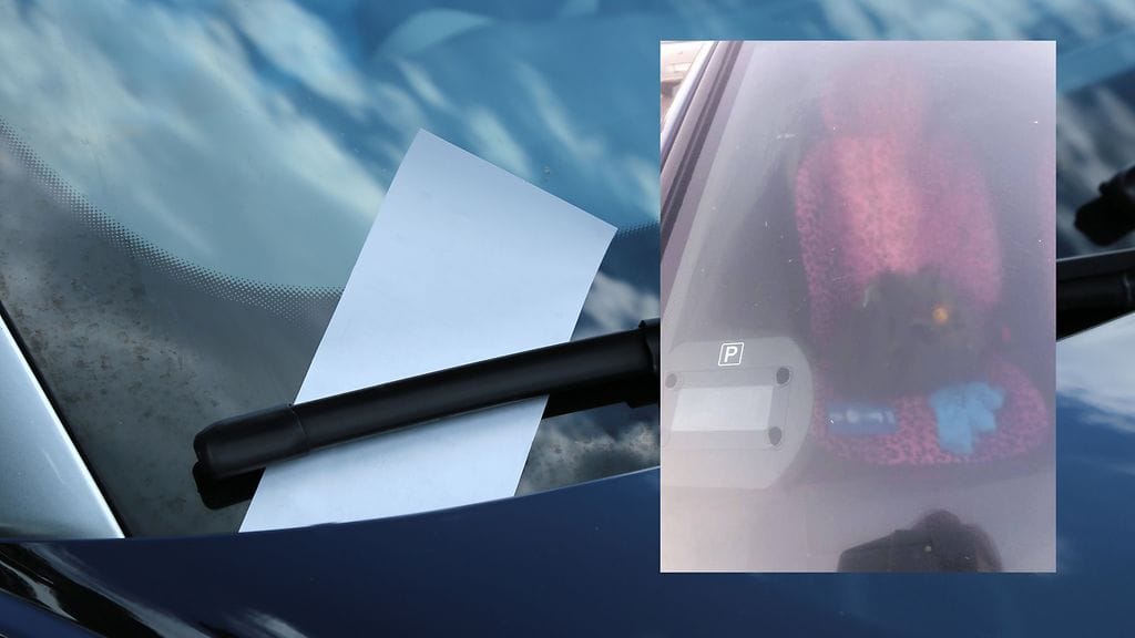 Kuva Shutterstock, toinen kuva Miika Karjalainen.